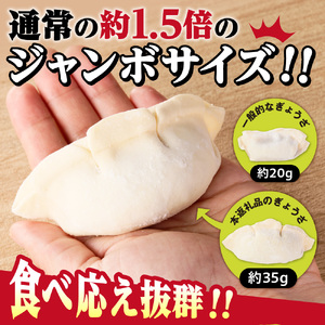 餃子 札幌ジャンボ肉餃子 16個入り×4袋セット