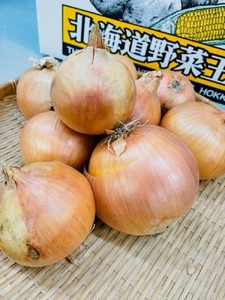 加熱後の強い甘みが特徴！幻のたまねぎ「札幌黄」