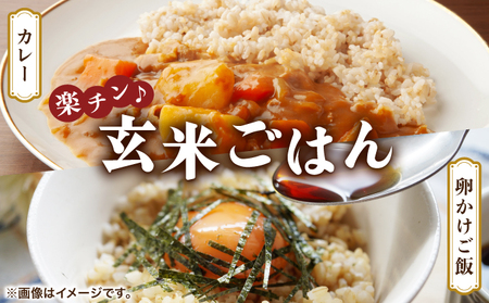 楽チン♪あやひめ玄米ごはん150g×20個【35045】