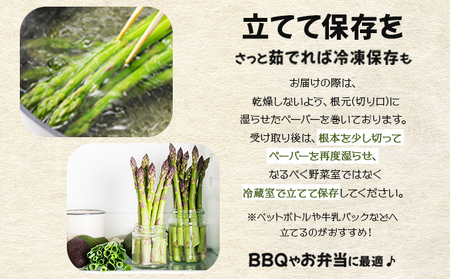 【先行予約／令和8年産】北海道岩見沢産　春グリーンアスパラ　2Lサイズ 1kg【41103】a129-003