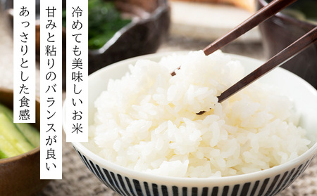 令和7年産!ファーム坂口の特別栽培米 ななつぼし精米 10kg (10kg×1袋)