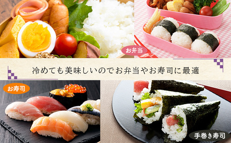 令和7年産!ファーム坂口の特別栽培米 ななつぼし精米 10kg (10kg×1袋)