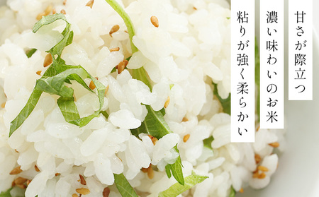 令和7年産！ファーム坂口の特別栽培米 ゆめぴりか精米 5kg