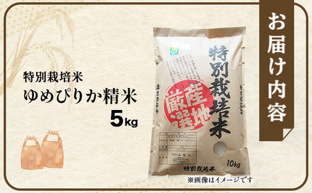 令和7年産！ファーム坂口の特別栽培米 ゆめぴりか精米 5kg