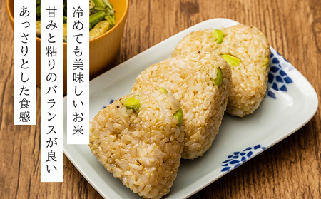 令和7年産！ファーム坂口の特別栽培米 ななつぼし玄米 30kg (30kg×1袋)