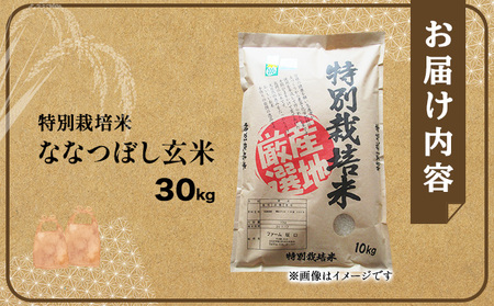 令和7年産！ファーム坂口の特別栽培米 ななつぼし玄米 30kg (30kg×1袋)