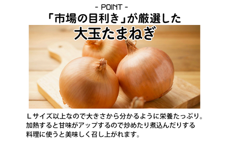 【引換券（現地受取）】市場の目利き 北海道岩見沢産たまねぎ 10kg