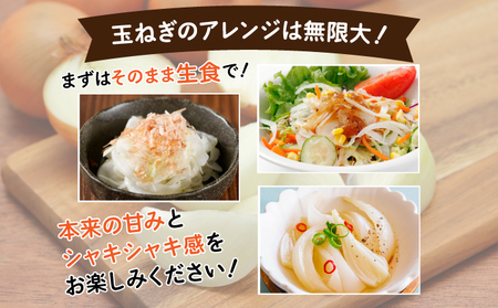 【通常配送】市場の目利き 北海道岩見沢産たまねぎ 10kg