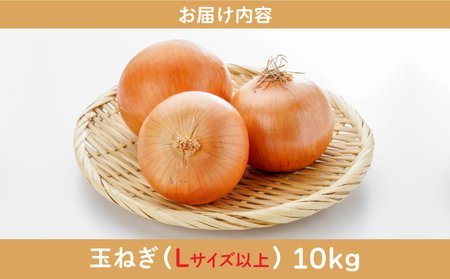 【通常配送】市場の目利き 北海道岩見沢産たまねぎ 10kg
