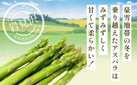 北海道岩見沢産グリーンアスパラ 2Lサイズ1kg【a142-002】