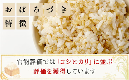 令和7年産!ファーム坂口の特別栽培米 おぼろづき玄米5kg