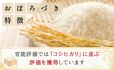 令和7年産!ファーム坂口の特別栽培米 おぼろづき精米 15kg(5kg×3)