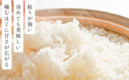 令和7年産!ファーム坂口の特別栽培米 おぼろづき精米 15kg(5kg×3)