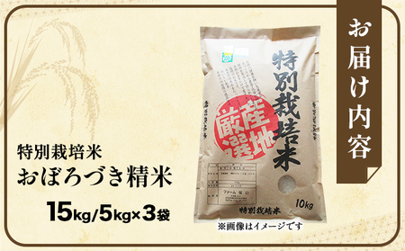 令和7年産!ファーム坂口の特別栽培米 おぼろづき精米 15kg(5kg×3)