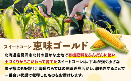 【先行予約】朝取りスイートコーン「恵味ゴールド」10本入り｜コーン とうもろこし 岩見沢市 野菜 北海道【a167-001】