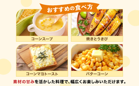 【先行予約】朝取りスイートコーン「恵味ゴールド」10本入り｜コーン とうもろこし 岩見沢市 野菜 北海道【a167-001】