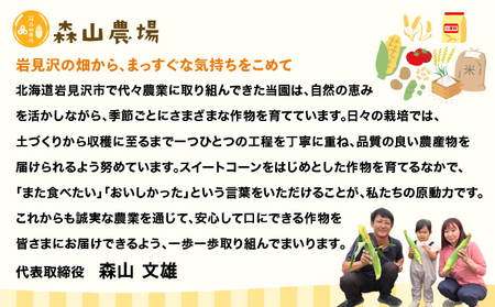 【先行予約】朝取りスイートコーン「恵味ゴールド」10本入り｜コーン とうもろこし 岩見沢市 野菜 北海道【a167-001】