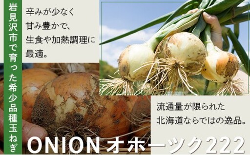 【先行予約】畑から直送の新鮮野菜！玉ねぎ(オホーツク222) 5kg [a168-004] 