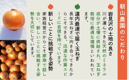 【先行予約】畑から直送の新鮮野菜！玉ねぎ(オホーツク222) 5kg [a168-004] 