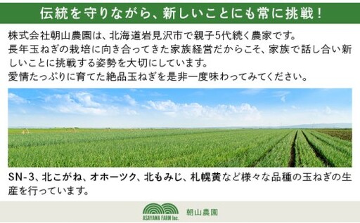 【先行予約】畑から直送の新鮮野菜！玉ねぎ(オホーツク222) 5kg [a168-004] 