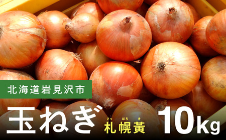 【先行予約】幻の玉ねぎ！札幌黄（さっぽろき）10kg [a168-011] たまねぎ 玉葱 タマネギ 国産 まとめ買い 業務用 贈り物 野菜 美味しい 送料無料 新鮮野菜 健康 和食 レストラン 国産野菜 採れたて 農家直送 産地直送 北海道 岩見沢市