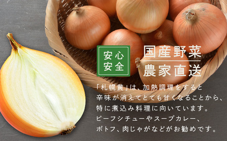 【先行予約】幻の玉ねぎ！札幌黄（さっぽろき）10kg [a168-011] たまねぎ 玉葱 タマネギ 国産 まとめ買い 業務用 贈り物 野菜 美味しい 送料無料 新鮮野菜 健康 和食 レストラン 国産野菜 採れたて 農家直送 産地直送 北海道 岩見沢市