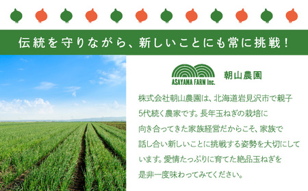 【先行予約】幻の玉ねぎ！札幌黄（さっぽろき）10kg [a168-011] たまねぎ 玉葱 タマネギ 国産 まとめ買い 業務用 贈り物 野菜 美味しい 送料無料 新鮮野菜 健康 和食 レストラン 国産野菜 採れたて 農家直送 産地直送 北海道 岩見沢市