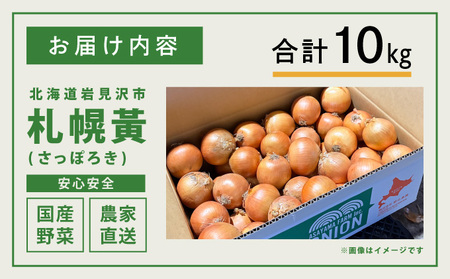 【先行予約】幻の玉ねぎ！札幌黄（さっぽろき）10kg [a168-011] たまねぎ 玉葱 タマネギ 国産 まとめ買い 業務用 贈り物 野菜 美味しい 送料無料 新鮮野菜 健康 和食 レストラン 国産野菜 採れたて 農家直送 産地直送 北海道 岩見沢市