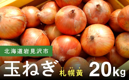 【先行予約】幻の玉ねぎ！札幌黄（さっぽろき）20kg [a168-012] たまねぎ 玉葱 タマネギ 国産 まとめ買い 業務用 贈り物 野菜 美味しい 送料無料 新鮮野菜 健康 和食 レストラン 国産野菜 採れたて 農家直送 産地直送 北海道 岩見沢市