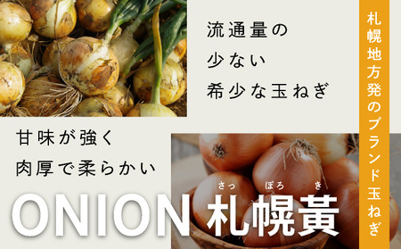 【先行予約】幻の玉ねぎ！札幌黄（さっぽろき）20kg [a168-012] たまねぎ 玉葱 タマネギ 国産 まとめ買い 業務用 贈り物 野菜 美味しい 送料無料 新鮮野菜 健康 和食 レストラン 国産野菜 採れたて 農家直送 産地直送 北海道 岩見沢市