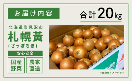 【先行予約】幻の玉ねぎ！札幌黄（さっぽろき）20kg [a168-012] たまねぎ 玉葱 タマネギ 国産 まとめ買い 業務用 贈り物 野菜 美味しい 送料無料 新鮮野菜 健康 和食 レストラン 国産野菜 採れたて 農家直送 産地直送 北海道 岩見沢市