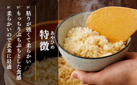 令和7年産 北海道岩見沢市産 あやひめ玄米 10kg ≪沖縄・離島配送不可≫ a124-037-R7