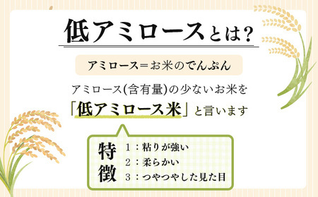 令和7年産 北海道岩見沢市産 あやひめ玄米 10kg ≪沖縄・離島配送不可≫ a124-037-R7