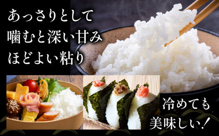 令和7年産 岩見沢産 ななつぼし 5kg 精米【a161-002】