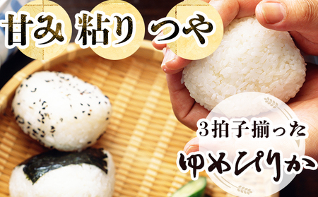 《令和7年産！》『100%自家生産精米』善生さんの自慢の米 ゆめぴりか５kg※一括発送【06123】 