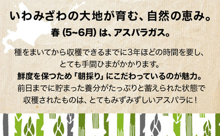 ＜先行予約＞いわみざわの新鮮農産物セット(5or6月～11月 全6回)※定期便【11106】