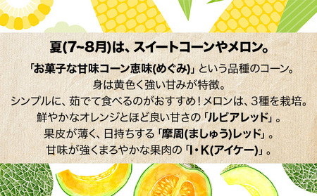 ＜先行予約＞いわみざわの新鮮農産物セット(5or6月～11月 全6回)※定期便【11106】