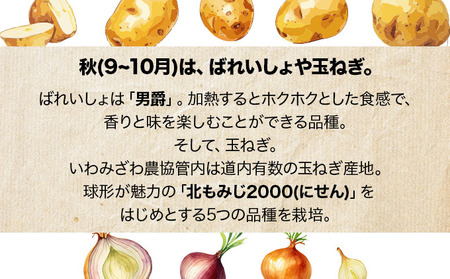＜先行予約＞いわみざわの新鮮農産物セット(5or6月～11月 全6回)※定期便【11106】