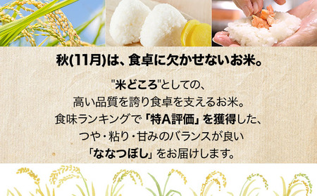 ＜先行予約＞いわみざわの新鮮農産物セット(5or6月～11月 全6回)※定期便【11106】