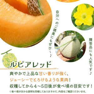 ＜先行予約＞産地直送！北海道『いわみざわメロン2玉（赤肉）』2026年夏にお届け！【18106】【a115-028】