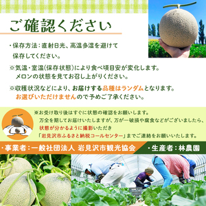 ＜先行予約＞産地直送！北海道『いわみざわメロン2玉（赤肉）』2026年夏にお届け！【18106】【a115-028】