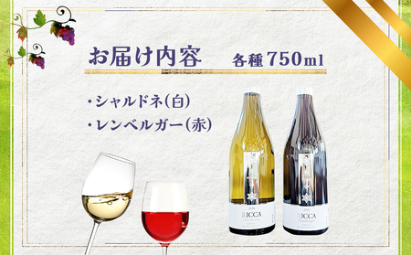 北海道岩見沢市の風土を生かした宝水ワイナリー「雪の系譜」ワイン２本セット（赤・白）【31103】