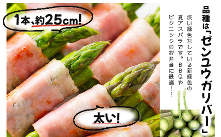 【先行予約／令和8年産】北海道岩見沢産　夏グリーンアスパラ　L～2Lサイズ 1kg【41104】a129-002