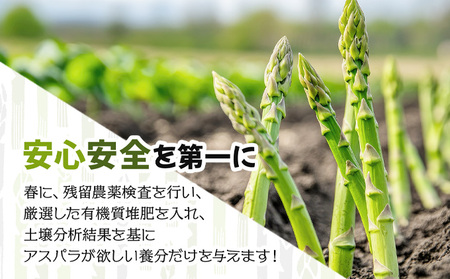 【先行予約／令和8年産】北海道岩見沢産　夏グリーンアスパラ　L～2Lサイズ 1kg【41104】a129-002
