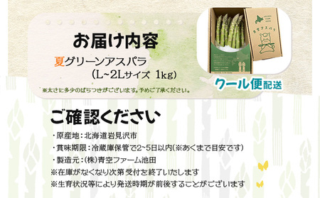 【先行予約／令和8年産】北海道岩見沢産　夏グリーンアスパラ　L～2Lサイズ 1kg【41104】a129-002