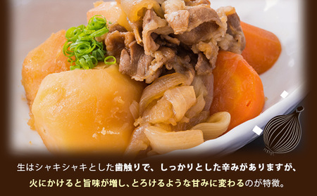 真珠の玉葱 Ｌサイズ10kg ≪海のミネラルで育てた玉葱≫【50104】