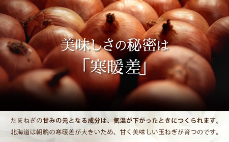 真珠の玉葱 Ｌサイズ10kg ≪海のミネラルで育てた玉葱≫【50104】