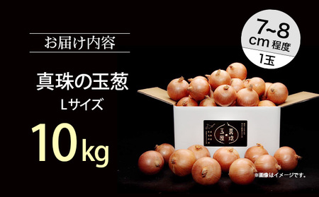 真珠の玉葱 Ｌサイズ10kg ≪海のミネラルで育てた玉葱≫【50104】