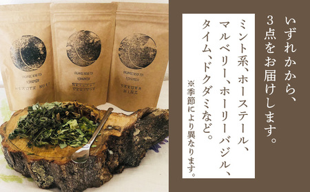 ≪数量限定！≫森のハーブティーセット(3点合計39g)【無農薬・化学肥料不使用】【51102】