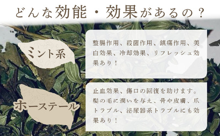 ≪数量限定！≫森のハーブティーセット(3点合計39g)【無農薬・化学肥料不使用】【51102】